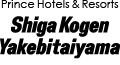 Yakebitaiyama logo